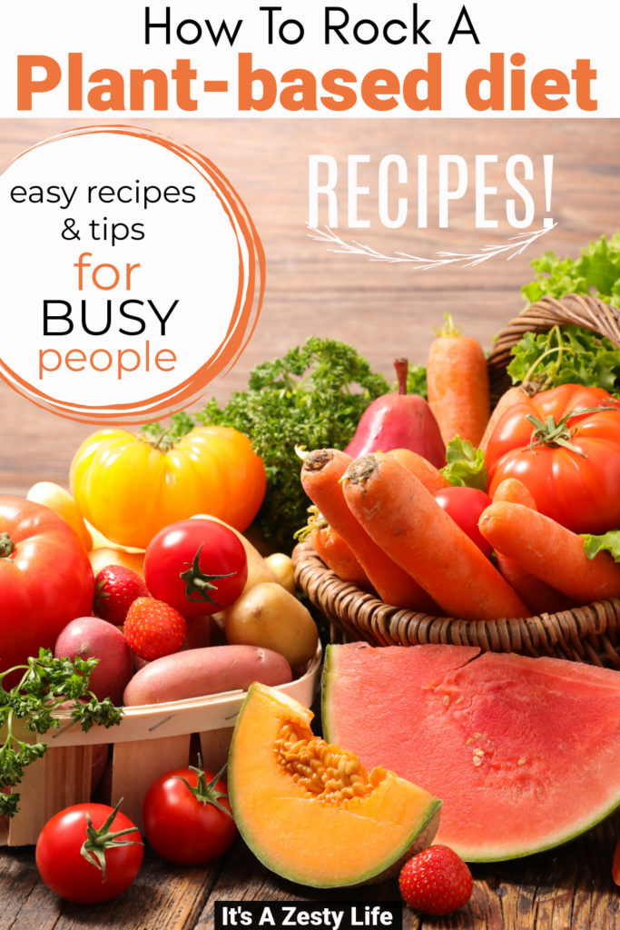 Plant based recipes for beginners 
