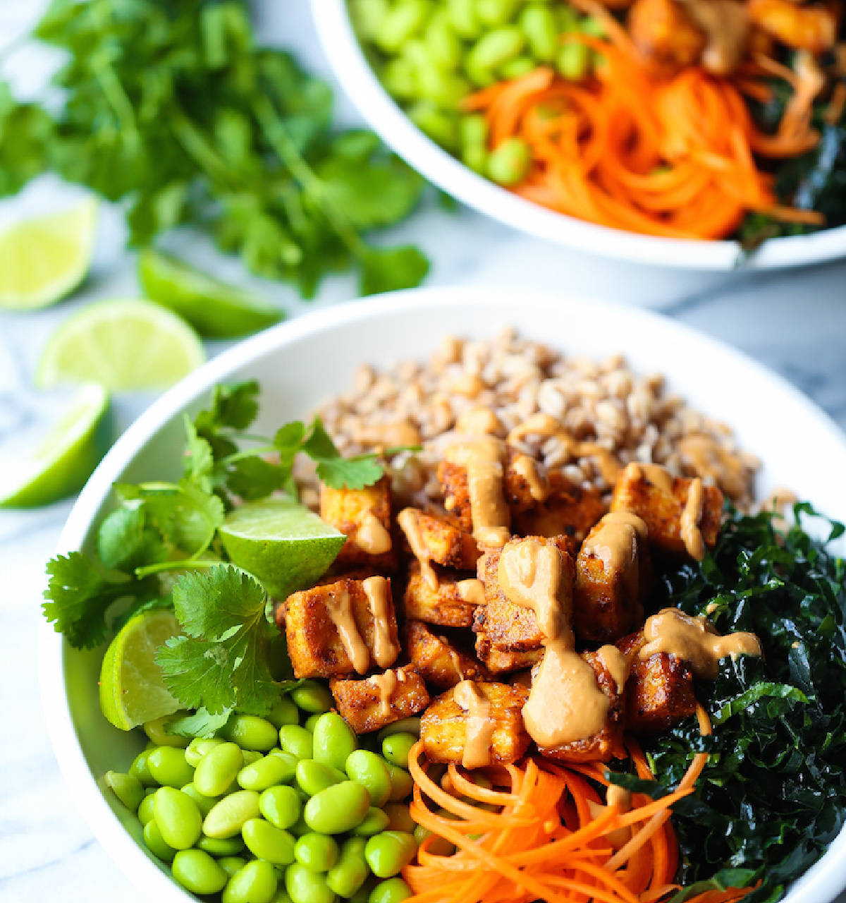 7 Super Delicious Tofu Recipes That Are Healthy and Easy - It's A Zesty ...